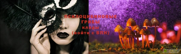 спайс Новодвинск