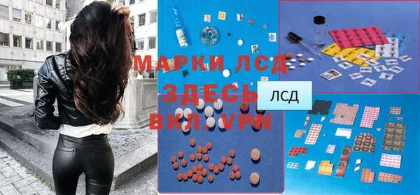 ALPHA PVP Новозыбков