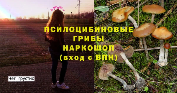 каннабис Новокубанск