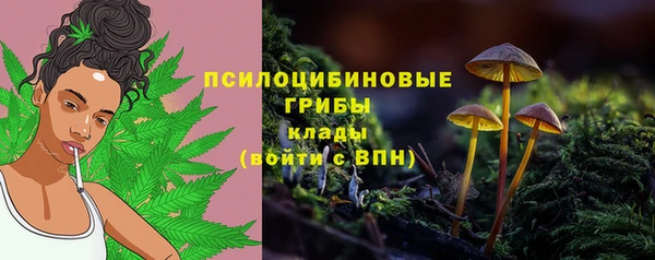 каннабис Новокубанск