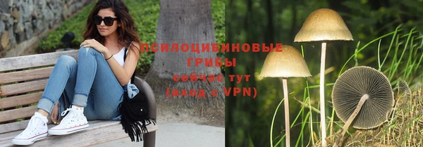каннабис Новокубанск