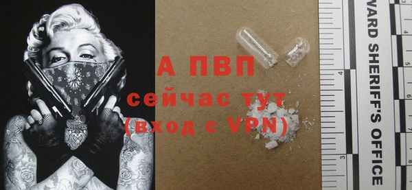 ALPHA PVP Новозыбков