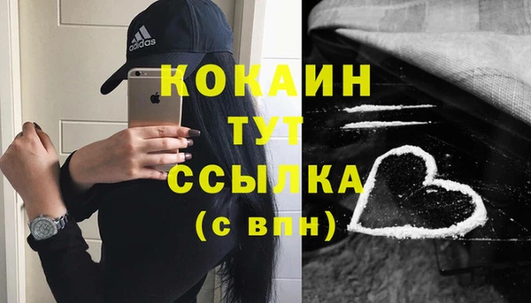 ALPHA PVP Новозыбков