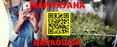 крисы Бийск