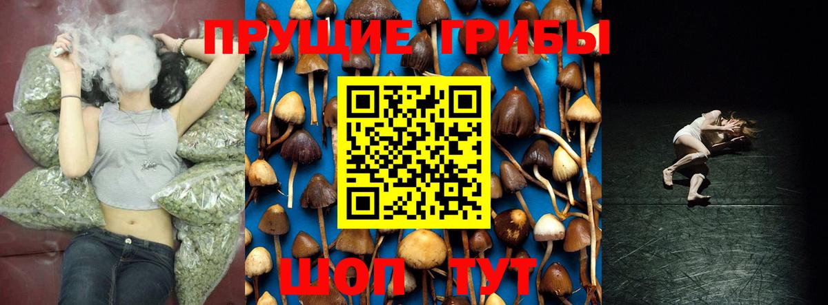 Псилоцибиновые грибы мицелий Рассказово