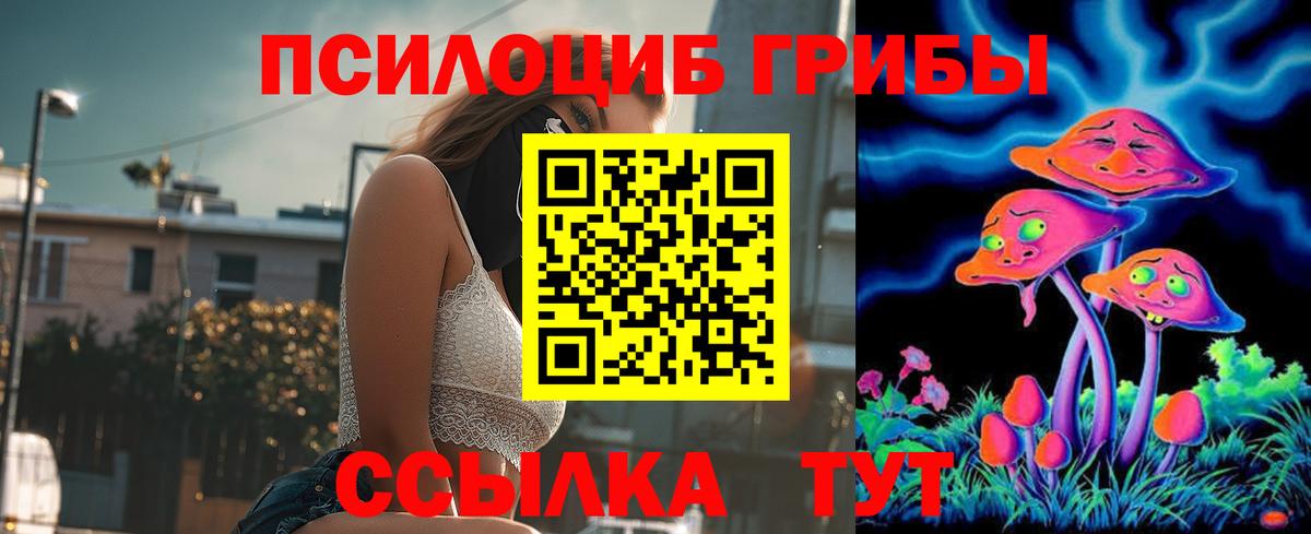 Рассказово  Галлюциногенные грибы Magic Shrooms  Вход с VPN 